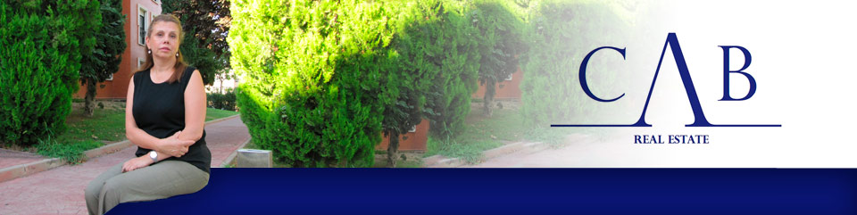 Inmobiliaria